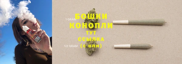 индика Покров