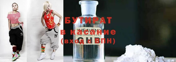 прущие грибы Переславль-Залесский