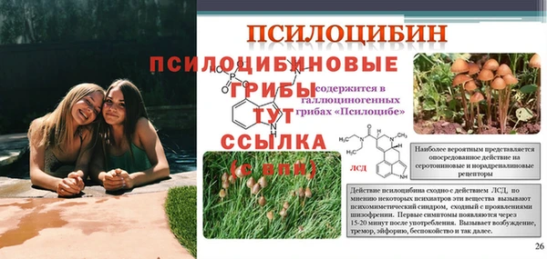 экстази Пересвет
