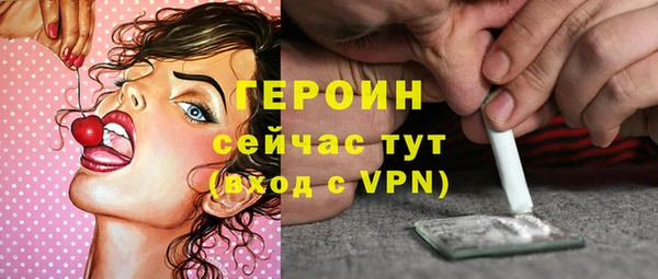 прущие грибы Переславль-Залесский
