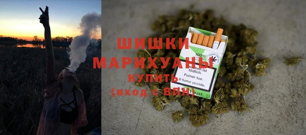 индика Покров