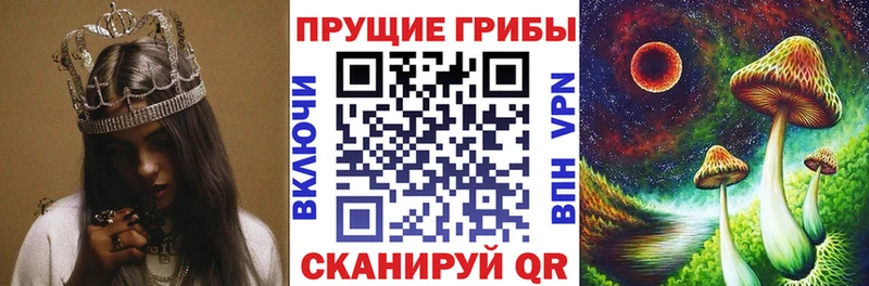 Галлюциногенные грибы прущие грибы  Кировск 